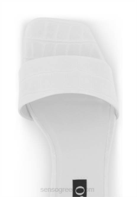 γρ Senso υπογραφές maisy vii πάγος D4LN198