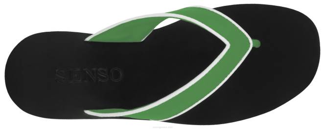 γρ Senso άνοιξη/καλοκαίρι 20 bowie iii apple D4LN406