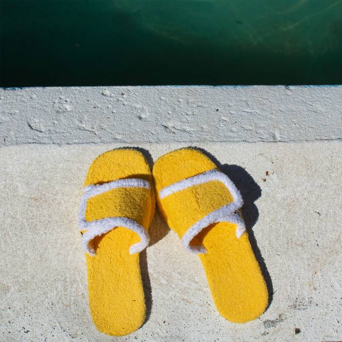 γρ Senso άνοιξη/καλοκαίρι 21 ίριδα νάρκισσος D4LN574