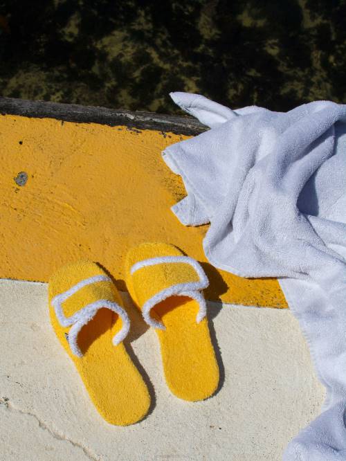 γρ Senso άνοιξη/καλοκαίρι 21 ίριδα νάρκισσος D4LN574